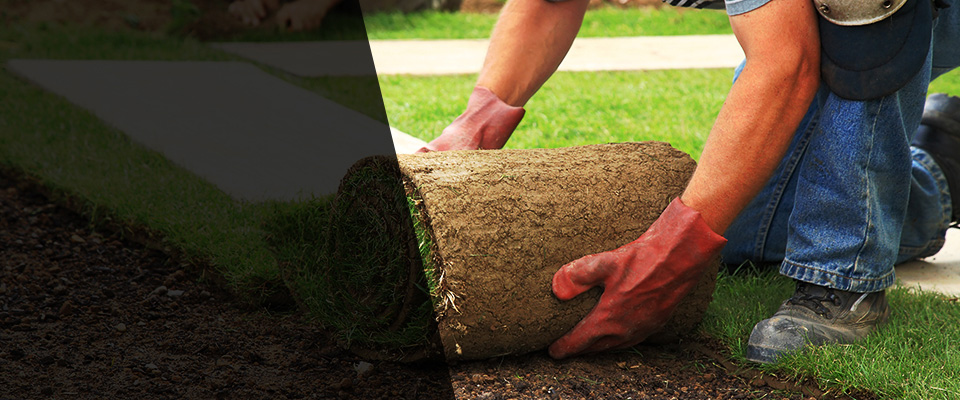 Red Lodge Landscapers